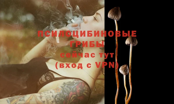 марихуана Дмитровск