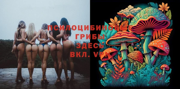 MDMA Premium VHQ Дмитров